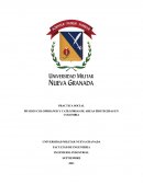 MUSEOS COLOMBIANOS Y AREAS PROTEGIDAS