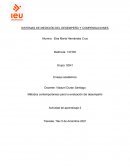 SISTEMAS DE MEDICIÓN DEL DESEMPEÑO Y COMPENSACIONES