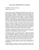 EVOLUCION DEL CEREBRO MEDIANTE LA INNOVACION