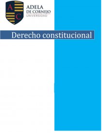 DERECHO CONSTITUCIONAL (REPORTE DE CLASE 3). Página 1
