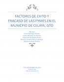 FACTORES DE EXITO Y FRACASO DE LAS PYMES EN EL MUNICPIO DE CELAYA, GTO