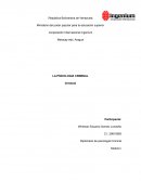 Ensayo de psicología criminal fundamentos básicos