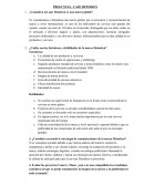 PREGUNTAS - CASO HEINEKEN