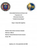 Desarrollo Cognitivo
