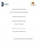 Ensayo sobre la serie bones