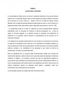 Modernidad e Identidad