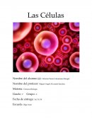 Las Células
