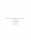 Seguridad Eléctrica