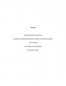 Ensayo sobre las finanzas