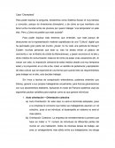 Caso “Disneyland”