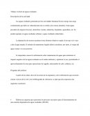 Trabajo: Gestión de aguas residuales UNIR