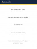 Articulo de opinión de planeación y proceso de auditoría