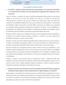 Caso práctico grupal: Borealis