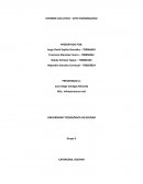 Informe ejecutivo SITM TransMilenio