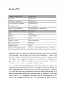 CARACTERSITICAS DE LA BERRETA