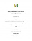 Derecho de las personas adultas mayores