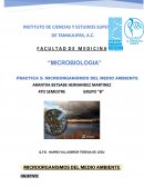 MICROORGANISMOS DEL MEDIO AMBIENTE