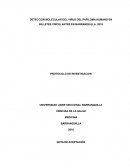 El Virus del Papiloma Humano (VPH)