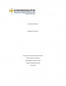 Programa Contaduría Publica