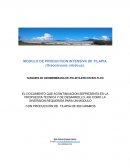 MODULO DE PRODUCCION INTENSIVA DE TILAPIA