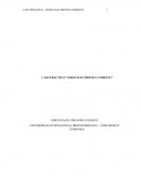 CASO PRÁCTICO “VIDEO ELECTRONICS COMPANY”