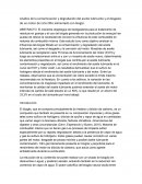 Análisis de la contaminación y degradación del aceite lubricante y el desgaste de un motor de ciclo Otto alimentado con biogás