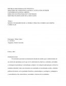 NEXOS Y FUNDAMENTOS DE LA TEORIA Y PRÁCTICA CURRICULAR. DISEÑO CURRICULAR