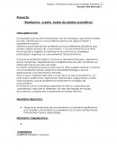 Proyecto: “Realizamos nuestra huerta de plantas aromáticas”