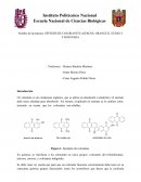 Practica 9 Sintesis te colorantes azoicos Orange ll Sudan l