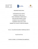 ENSAYO SOBRE LA CONTAMINACIÓN AMBIENTAL