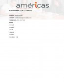 Américas Business Process Services