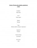 Método científico conceptos e importancia