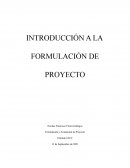 Formulacion de proyectos semana 1