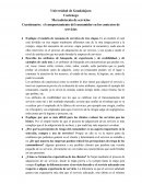 El comportamiento del consumidor en los contextos de servicios