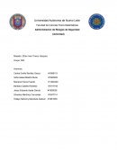 Administración de Riesgos de Seguridad (Actividad)