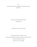 Estudio de Caso Sobre Manejo de Resultados de las Elasticidades y Decisiones Empresariales