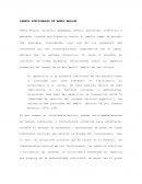 CAMPOS FUNCIONALES DE HENRI WALLON