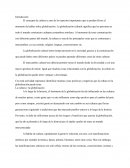 Interpretación de Fenómenos Globales