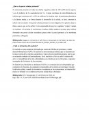 ¿Qué es la pared celular primaria?