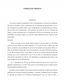 Ensayo sobre empleo en Mexico