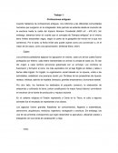 Ensayo del modelo capitalista en Colombia