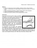 Práctica número 1: Modelo de arco del pie