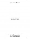 Análisis: Estructura Organizacional