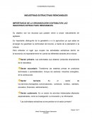 Importancia de la organización contable en industrias extractivas renovables