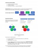ANALISIS DEL SISTEMA ESPAÑOL