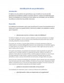 Identificación de una problemática