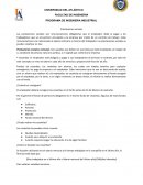 PROGRAMA DE INGENIERIA INDUSTRIAL