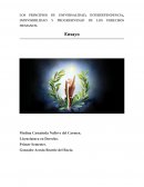 LOS PRINCIPIOS DE UNIVERSIBILIDAD