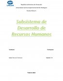 Subsistema de desarrollo de RH