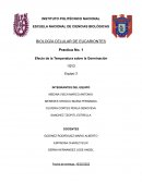Práctica 1. Efectos de la temperatura sobre la germinación